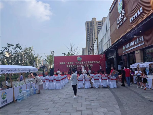 涡阳县商务局开展暖民心“放心家政”宣传活动(图1)