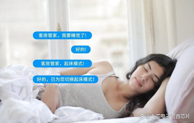 客房智能管家语音识别芯片功能概述(图1)